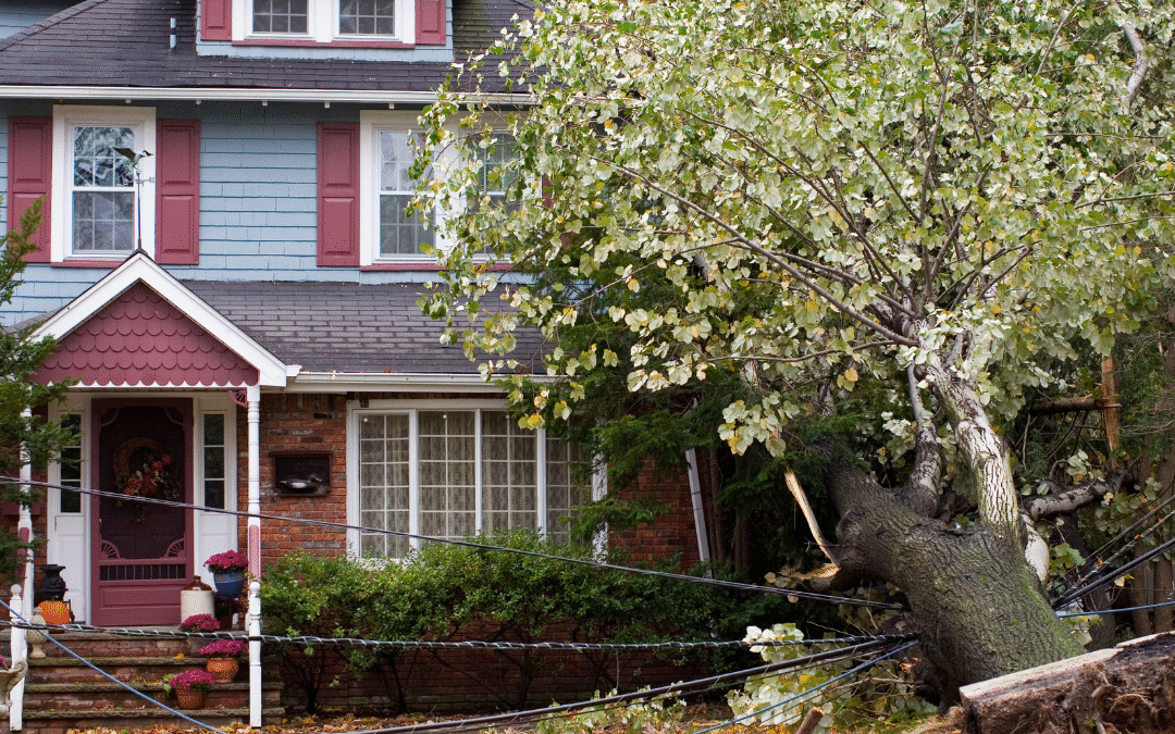 When Summer Storms Strike: How to Handle Late-Summer Storm Damage in Michigan