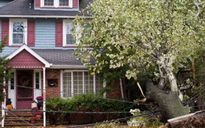 How to Prepare Your Home for Spring Storm Season