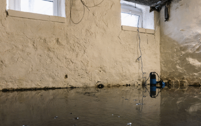 When Basement Water Won’t Go Away: Identifying Persistent Summer Leaks
