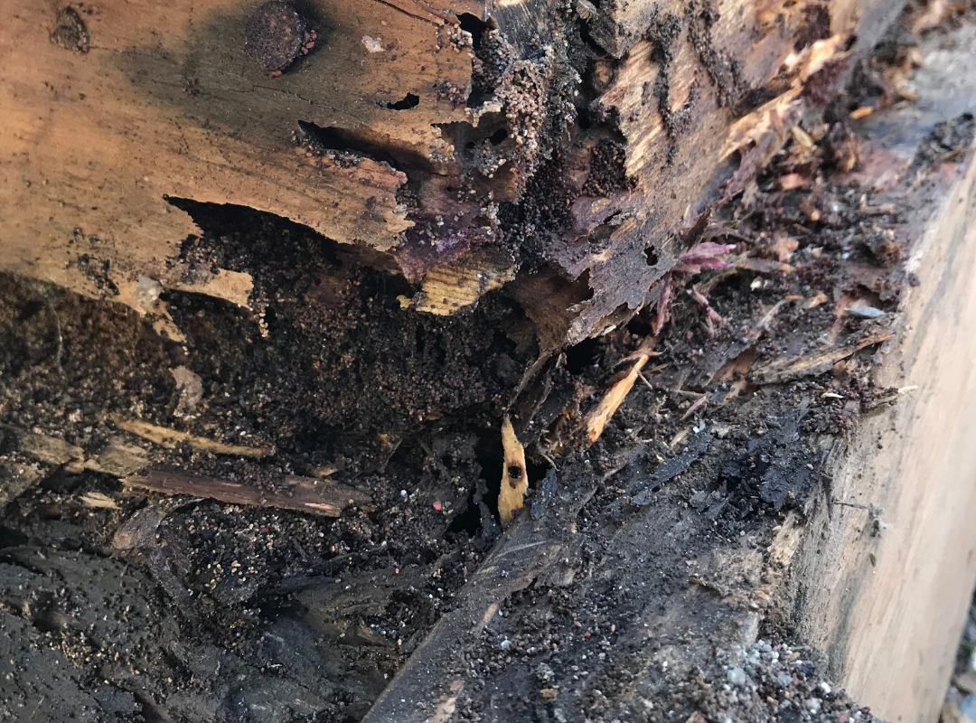 Milford Pressure Washing