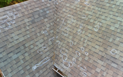 How to Recognize and Respond to Hail Damage on Your Roof and Siding