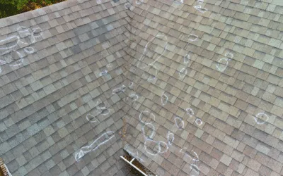 Does Homeowners Insurance Cover Roof Damage from Snow or Ice?