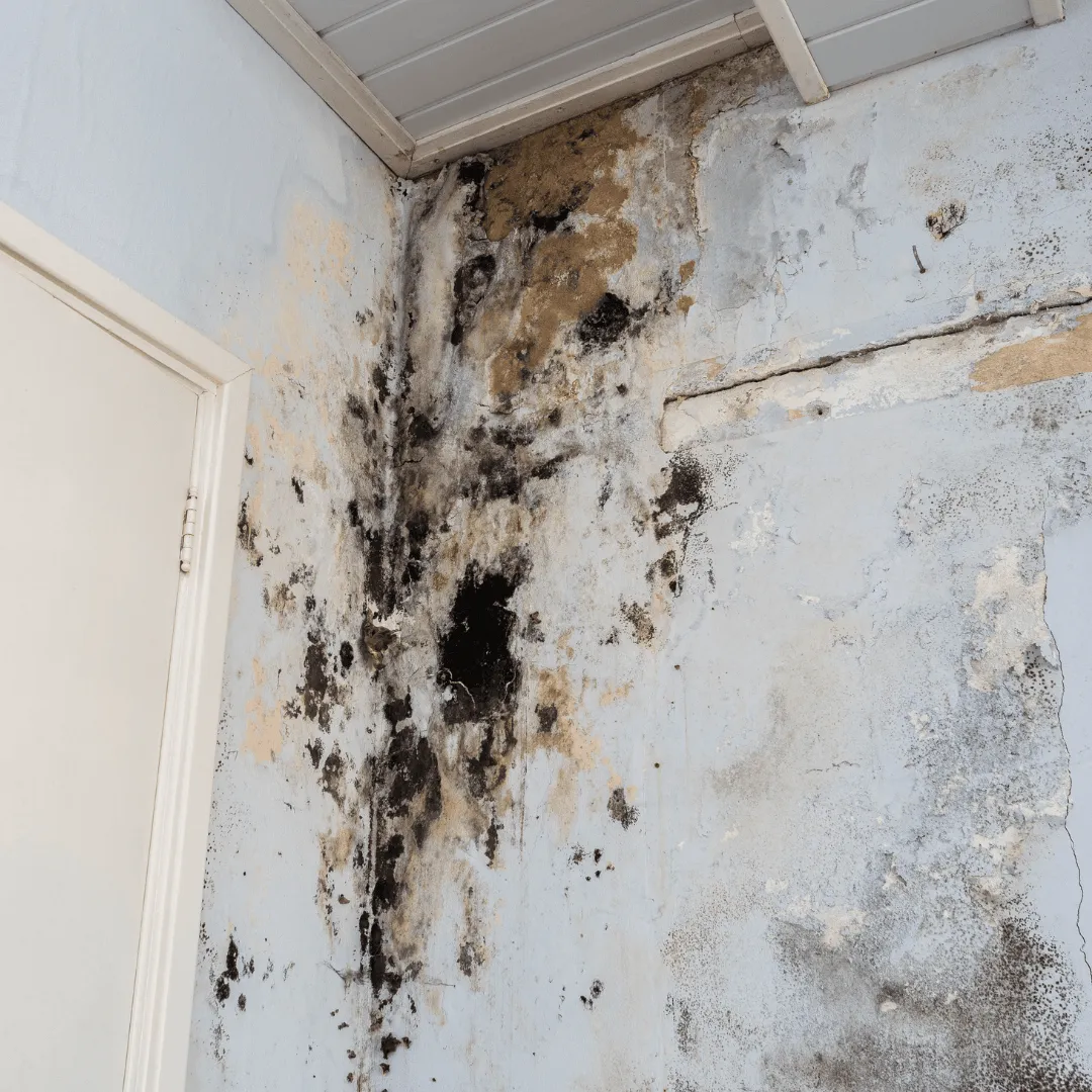 Pressure Washing