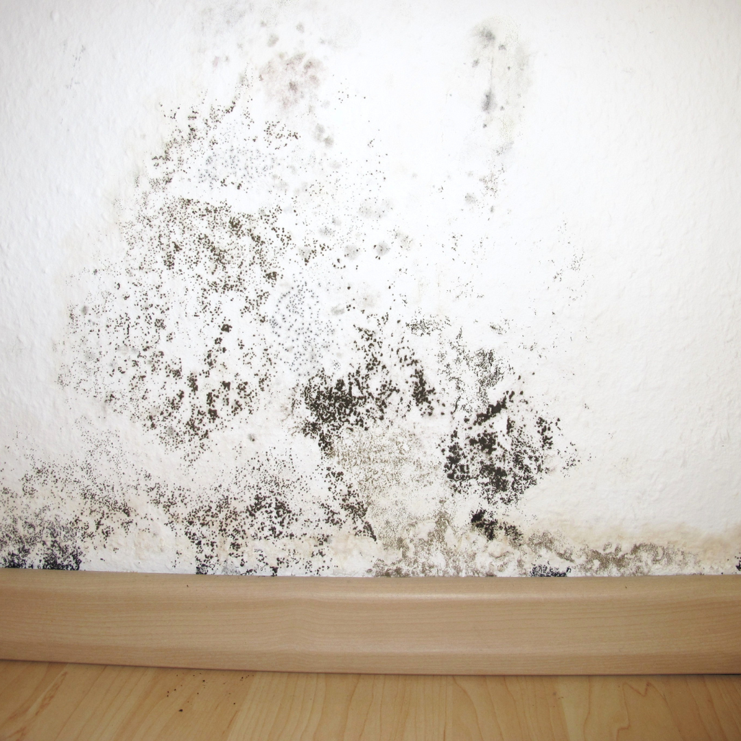 New England Pressure Cleaning
