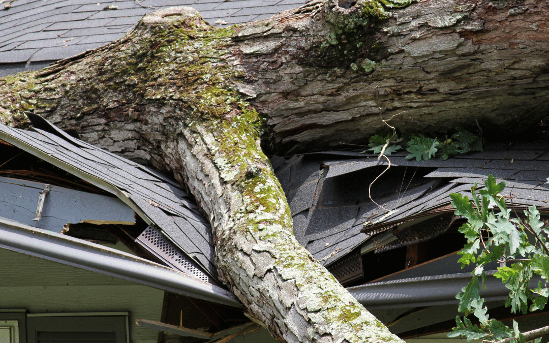 How Do I Prepare My Home for Michigan’s Next Big Storm?