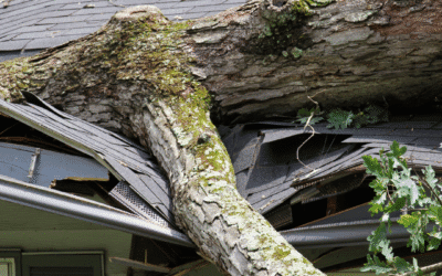 How Do I Prepare My Home for Michigan’s Next Big Storm?