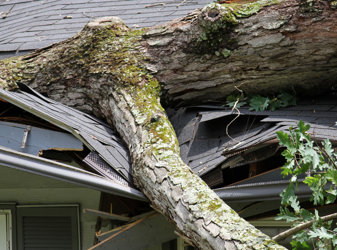 Storm Damage Restoration Services Aaron Builders