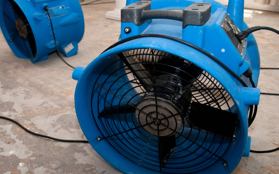 How Do Professionals Dry A House After Flooding?