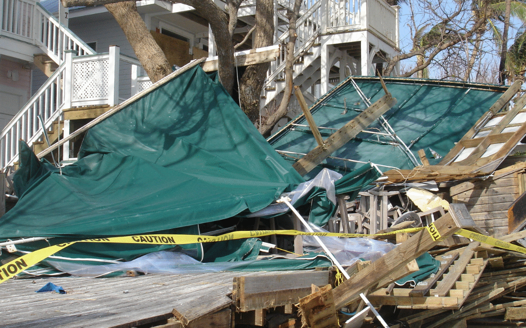 What Should I Do if a Tree Falls on My House During a Storm?