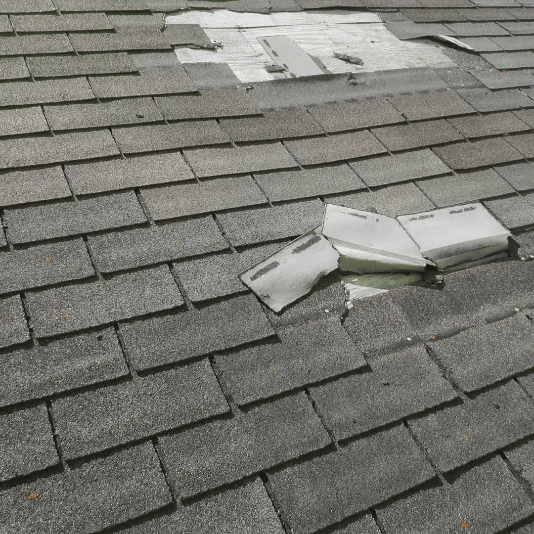 New England Pressure Cleaning
