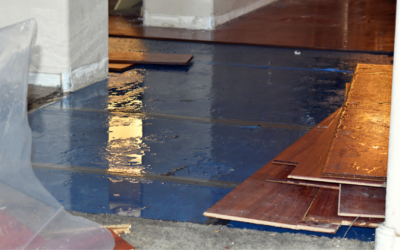 What Should You Do Immediately After Water Damage in Farmington Hills, MI?
