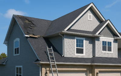 Does Mold Come Back After Remediation In Southfield MI?