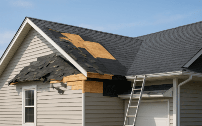 What Does A Restoration Company Do After A Flood In Pontiac MI?